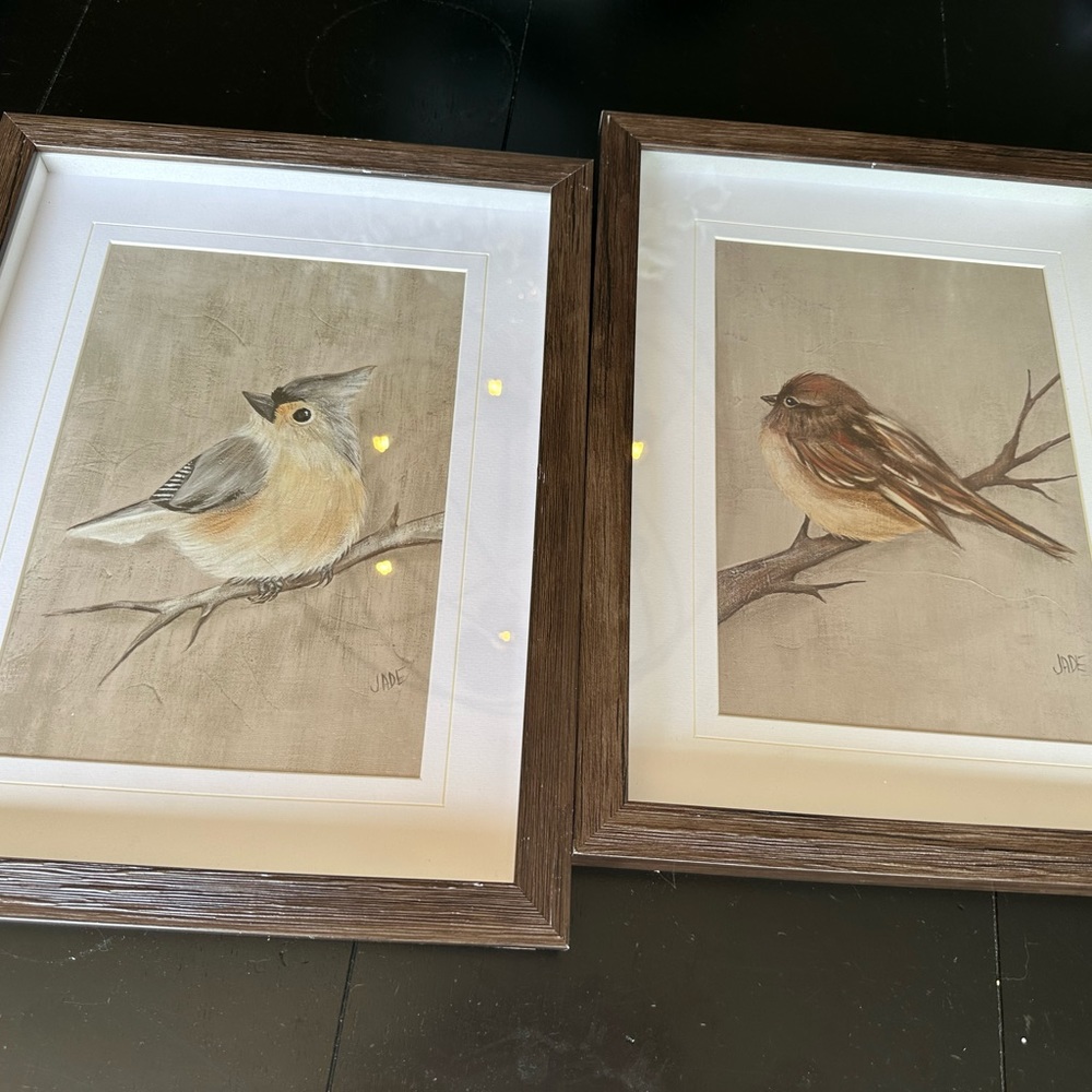 Hobby Lobby framed bird prints 2
